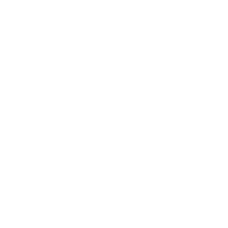 Instagram Icon